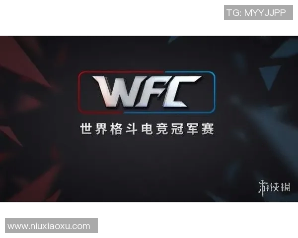 wesg什么比赛-揭秘WESG，一场电竞界的顶级盛宴-wesg什么比赛