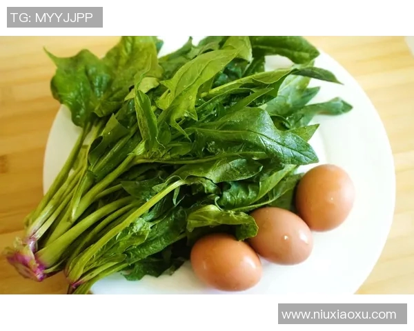 买了比赛的菠菜-比赛下的菠菜，一位参与者的经验与思考-买了比赛的菠菜